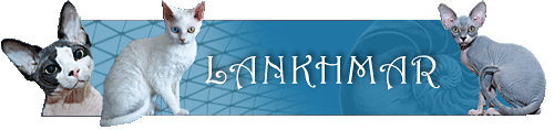 (N)Lankhmar