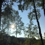 BILDER FRA HENGEKØYETUR 12.07.2019 :)