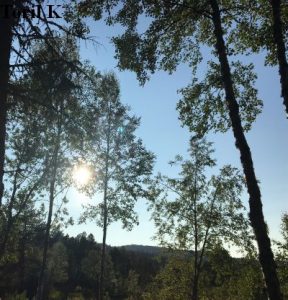 BILDER FRA HENGEKØYETUR 12.07.2019 :)