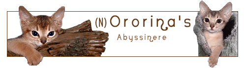 Ororina - Anne Marit Jerpstad's
abyssineroppdrett