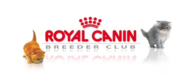 Hjemmesiden til
Royal Canin