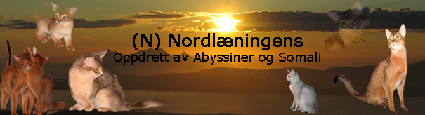 (N) Nordlningen's